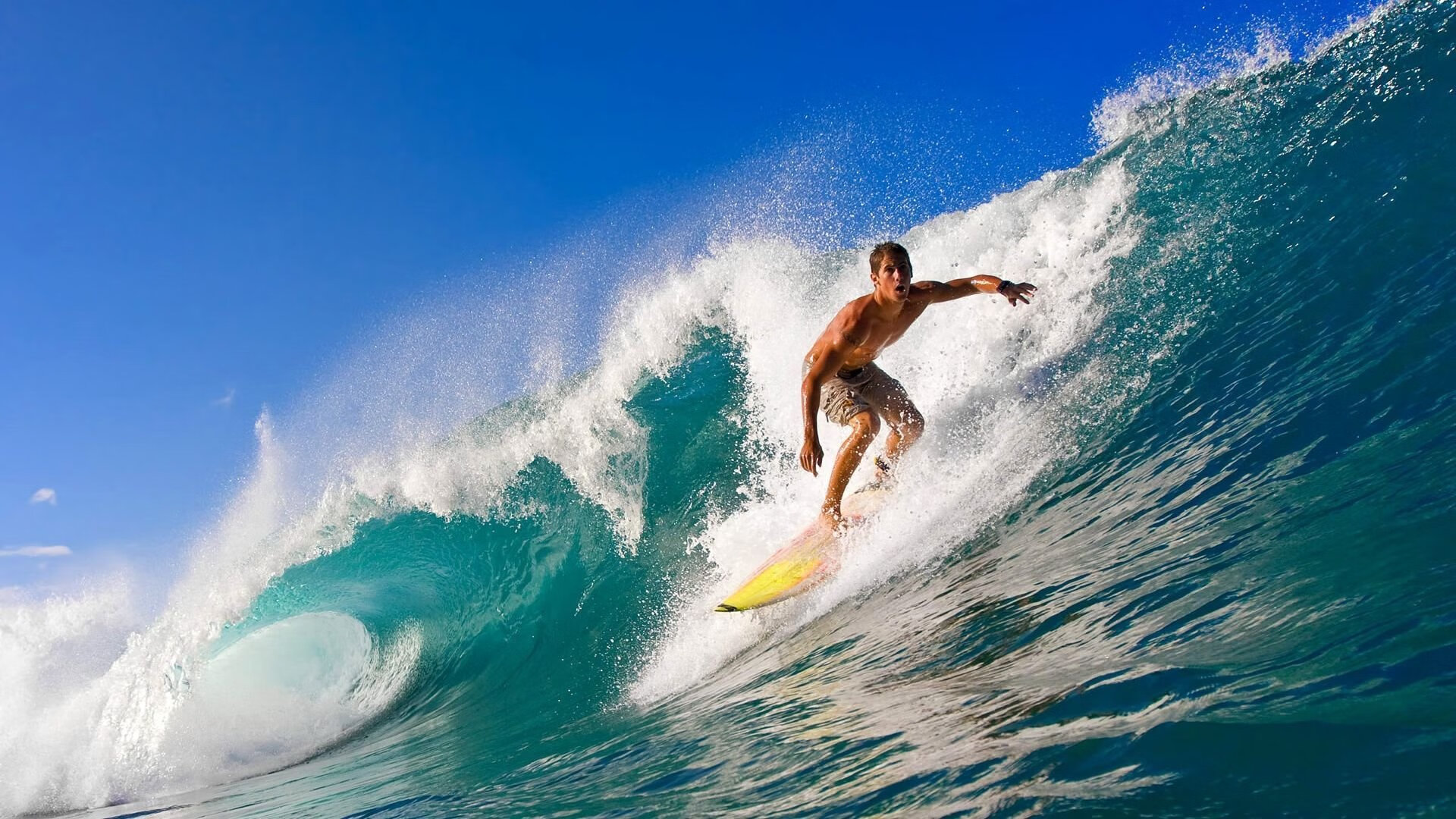 未来观察：联盟新规则将带来哪些变革？，联盟的规矩